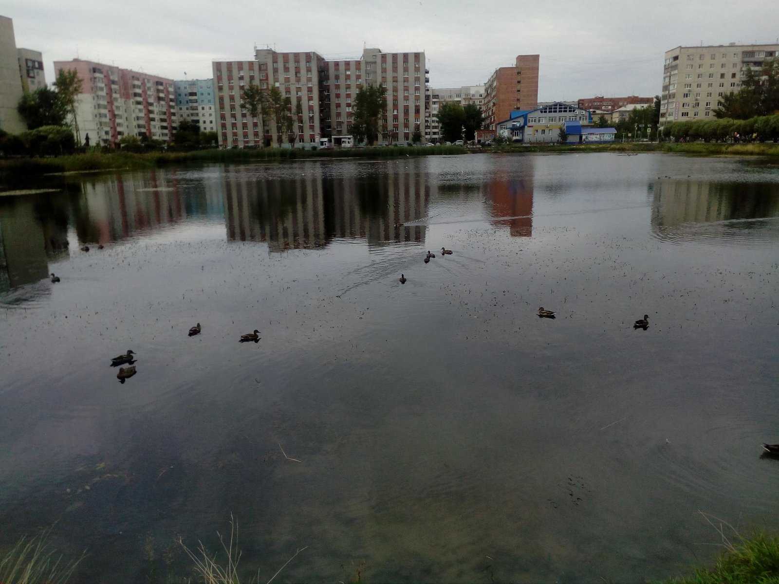 Тюмень 19 августа. Червишевский тракт 19 Тюмень.